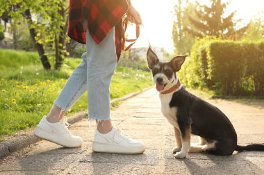Parkta sevimli köpeği olan bir kadın, yakın plan.