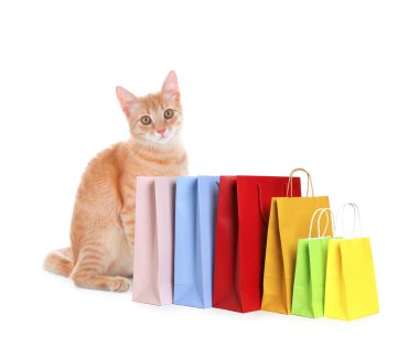 Adorable yellow tabby cat and colorful paper shopping bags on white background