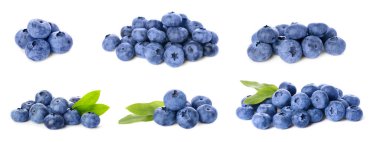 Set with tasty fresh ripe blueberries on white background. Banner design
