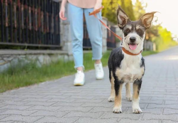 Frau Spaziert Mit Ihrem Süßen Hund Auf Der Stadtstraße Nahaufnahme — Stockfoto