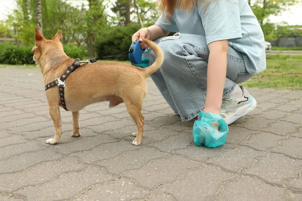 Woman Picking Her Dog Poop Park Closeup — Fotografia de Stock