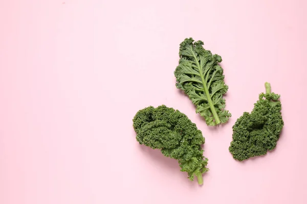 Fresh Kale Leaves Pink Background Flat Lay Space Text — ストック写真