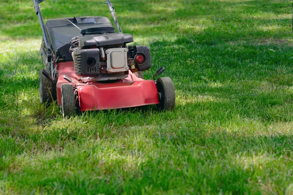 Modern Garden Lawn Mower Cutting Green Grass Outdoors — Stock fotografie