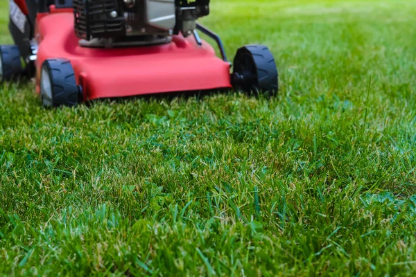 Modern Garden Lawn Mower Green Grass Outdoors — Stock Fotó