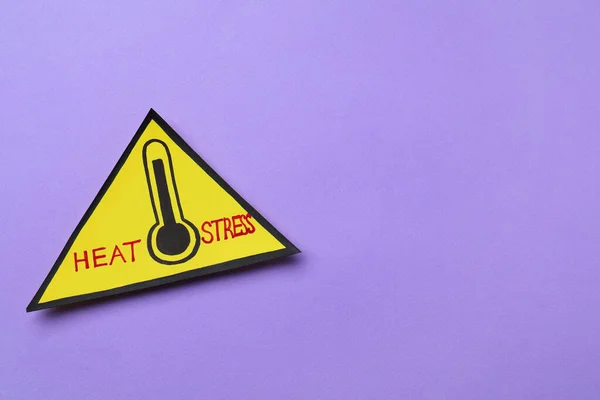 Yellow Paper Triangle Words Heat Stress Thermometer Violet Background Top — стоковое фото