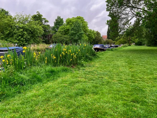 Beautiful View Iris Flowers Canal Different Boats — Stockfoto