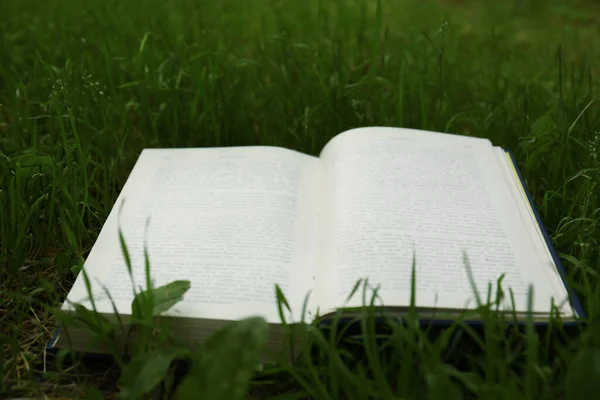 Open Book Green Grass Garden — Stockfoto