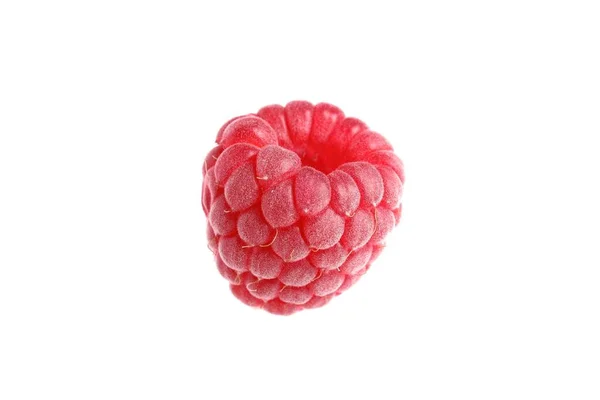 One Fresh Ripe Raspberry Isolated White — стоковое фото