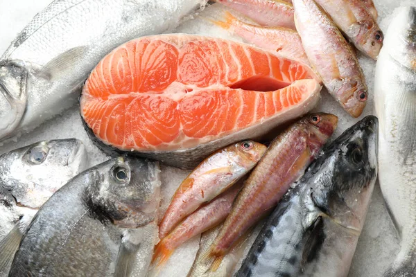 Färsk Fisk Och Skaldjur Närbild — Stockfoto