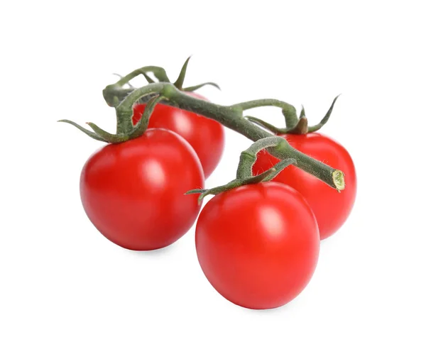 Branch Red Ripe Cherry Tomatoes Isolated White — Stock Fotó