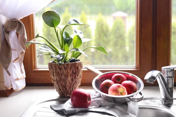 Beautiful Green Houseplant Apples Sink Kitchen — Φωτογραφία Αρχείου