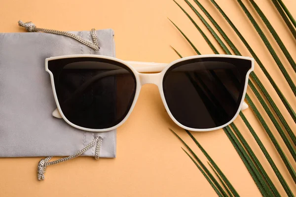 Stylish Sunglasses Bag Beige Background Top View — Stock fotografie