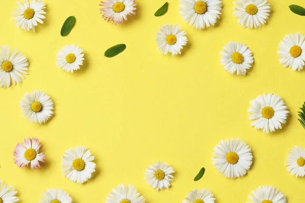 Frame Daisy Flowers Leaves Yellow Background Flat Lay Space Text — Fotografia de Stock