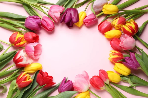 Rama Wykonana Pięknych Wiosennych Tulipanów Różowym Tle Widok Góry Miejsce — Zdjęcie stockowe