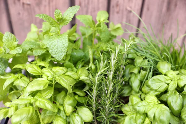 Different Aromatic Herbs Wooden Background Closeup — Fotografia de Stock