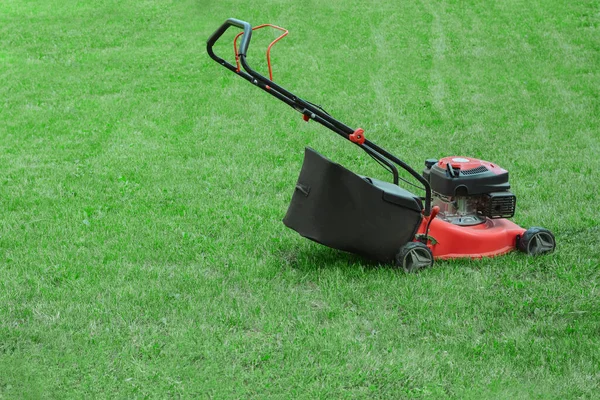 Modern Garden Lawn Mower Green Grass Outdoors Fotografia De Stock