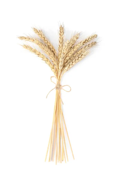 Bunch Wheat Ears Isolated White — Stock Photo, Image