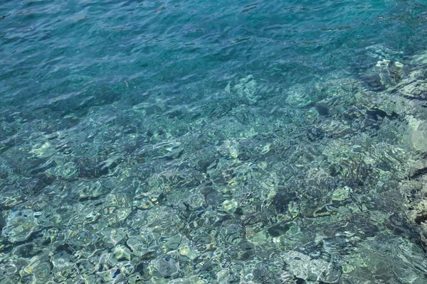 Shallow Water Rocky Sea Bottom Background — Stock Photo, Image