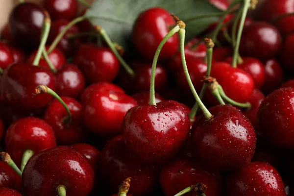 Ripe Sweet Cherries Water Drops Background Closeup — Stockfoto