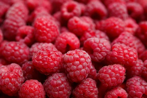 Many Fresh Ripe Raspberries Background Closeup — 图库照片