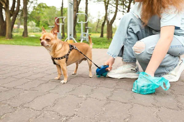 Woman Picking Her Dog Poop Park Closeup — Stock Photo, Image