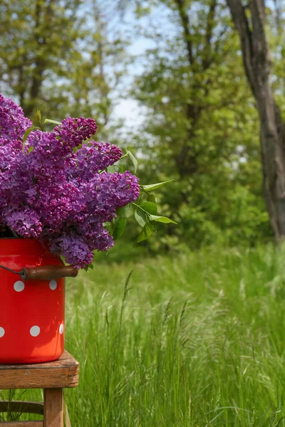 Beautiful Lilac Flowers Milk Can Outdoors Space Text — стоковое фото
