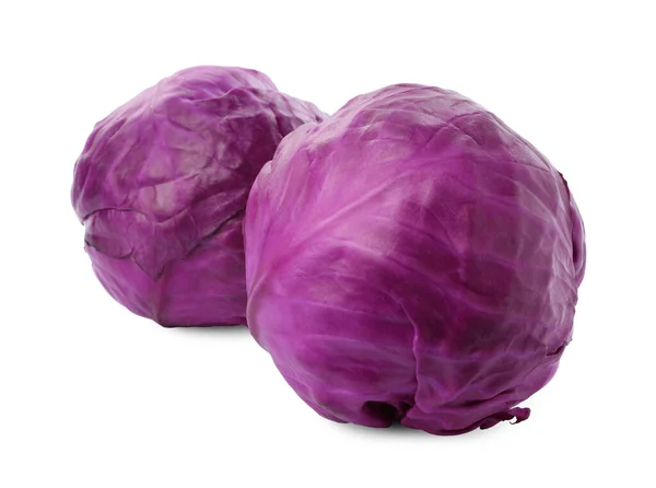 Fresh Ripe Red Cabbages White Background — 스톡 사진