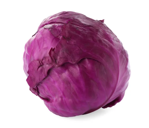 One Fresh Ripe Red Cabbage Isolated White — Stock fotografie