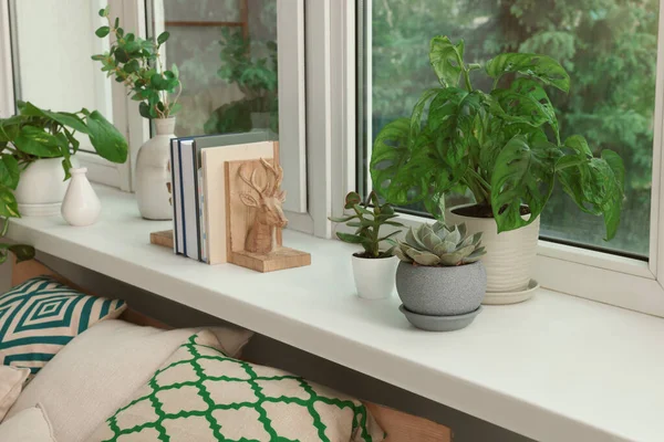 Many Beautiful House Plants Windowsill Indoors Home Design Idea — Stock Photo, Image