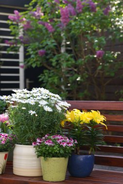 Bir sürü güzel çiçek açan bitkiler var. Ağaçtan bir bankta, açık havada.
