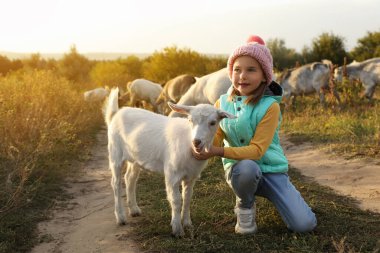 Çiftlik hayvanı. Otlakta keçi okşayan sevimli küçük kız.