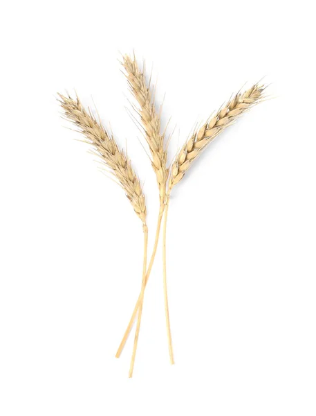 Ears Wheat White Background Cereal Plant — Zdjęcie stockowe