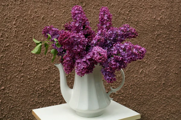 Beautiful lilac flowers in teapot near brown wall