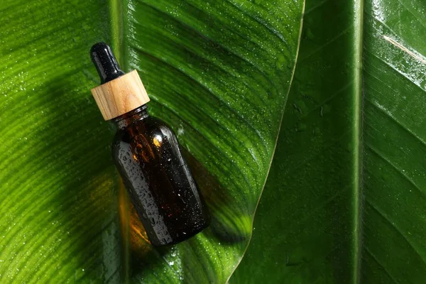 Bottle Cosmetic Product Wet Green Leaves Top View Space Text — Stockfoto