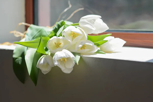 Bouquet Beautiful White Tulip Flowers Windowsill Indoors Closeup — Fotografia de Stock