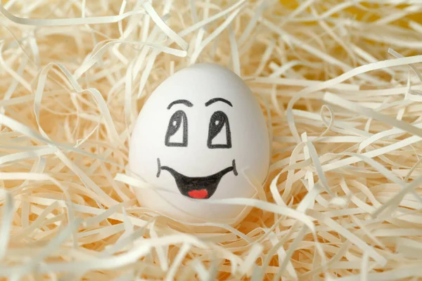 Egg Drawn Happy Face Straw Closeup — Stockfoto