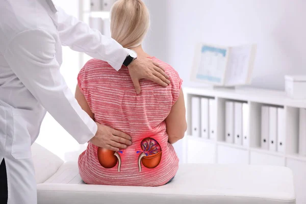 Doctor Examining Patient Kidney Pain Clinic — Stockfoto