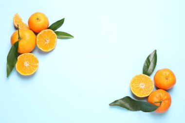 Taze olgun mandalinalarla düz kompozisyon ve açık mavi arkaplanda yapraklar, yazı için boşluk. Citrus meyvesi.