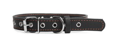 Black leather dog collar isolated on white