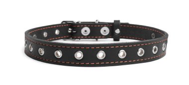 Black leather dog collar isolated on white