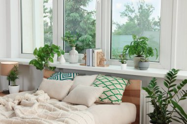 Güzel ev bitkileriyle süslü bir yatak odası. Ev tasarımı fikri