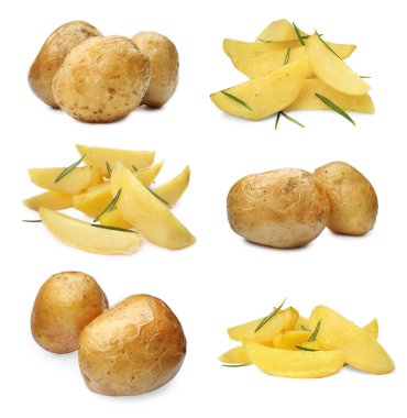 Set with delicious hot baked potatoes on white background