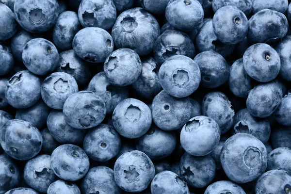 Tasty Fresh Ripe Blueberries Background Top View — Stock Photo, Image