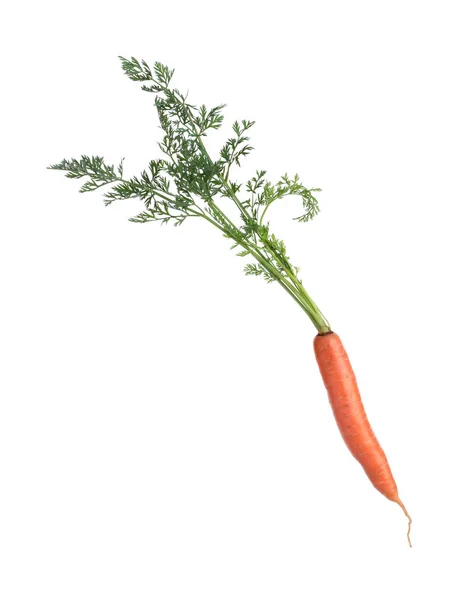 Tasty Ripe Juicy Carrot Isolated White — Zdjęcie stockowe