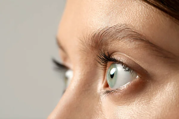 Beautiful Woman Grey Eyes Color Background Closeup Space Text — Fotografia de Stock