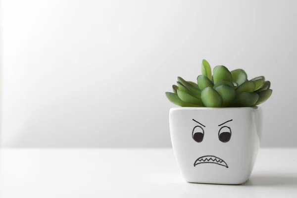 Beautiful Potted Houseplant Angry Face White Table Light Background Space — Stockfoto