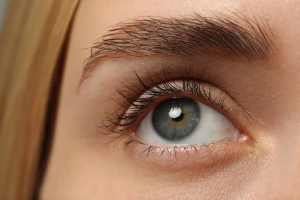 Beautiful Woman Grey Eye Closeup View — Stok Foto