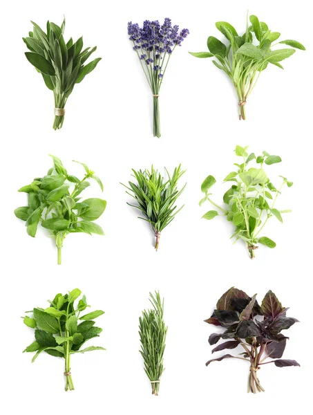Set Different Aromatic Herbs White Background Top View — Foto de Stock