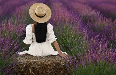 Woman sitting on hay bale in lavender field, back view