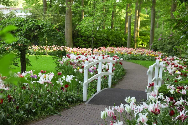 Park Beautiful Flowers Bridge Canal Spring Season — Stock Photo, Image